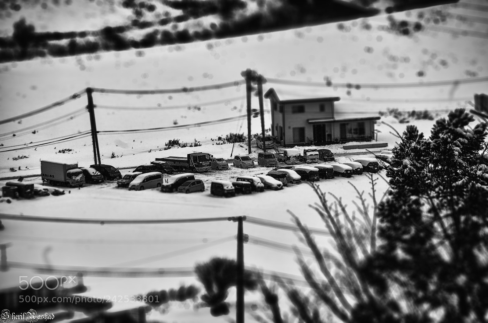 Pentax K-50 sample photo. Car parking photography