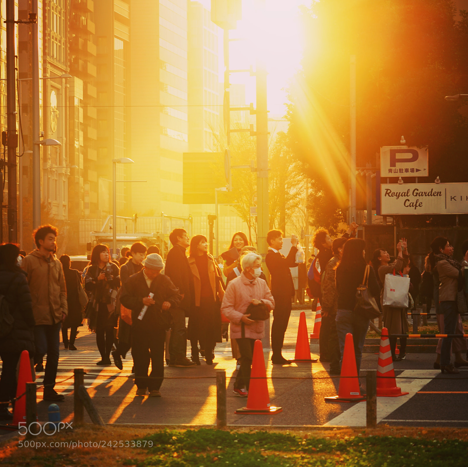 Sony a7 II sample photo. Meiji jingu gaien,tokyo photography