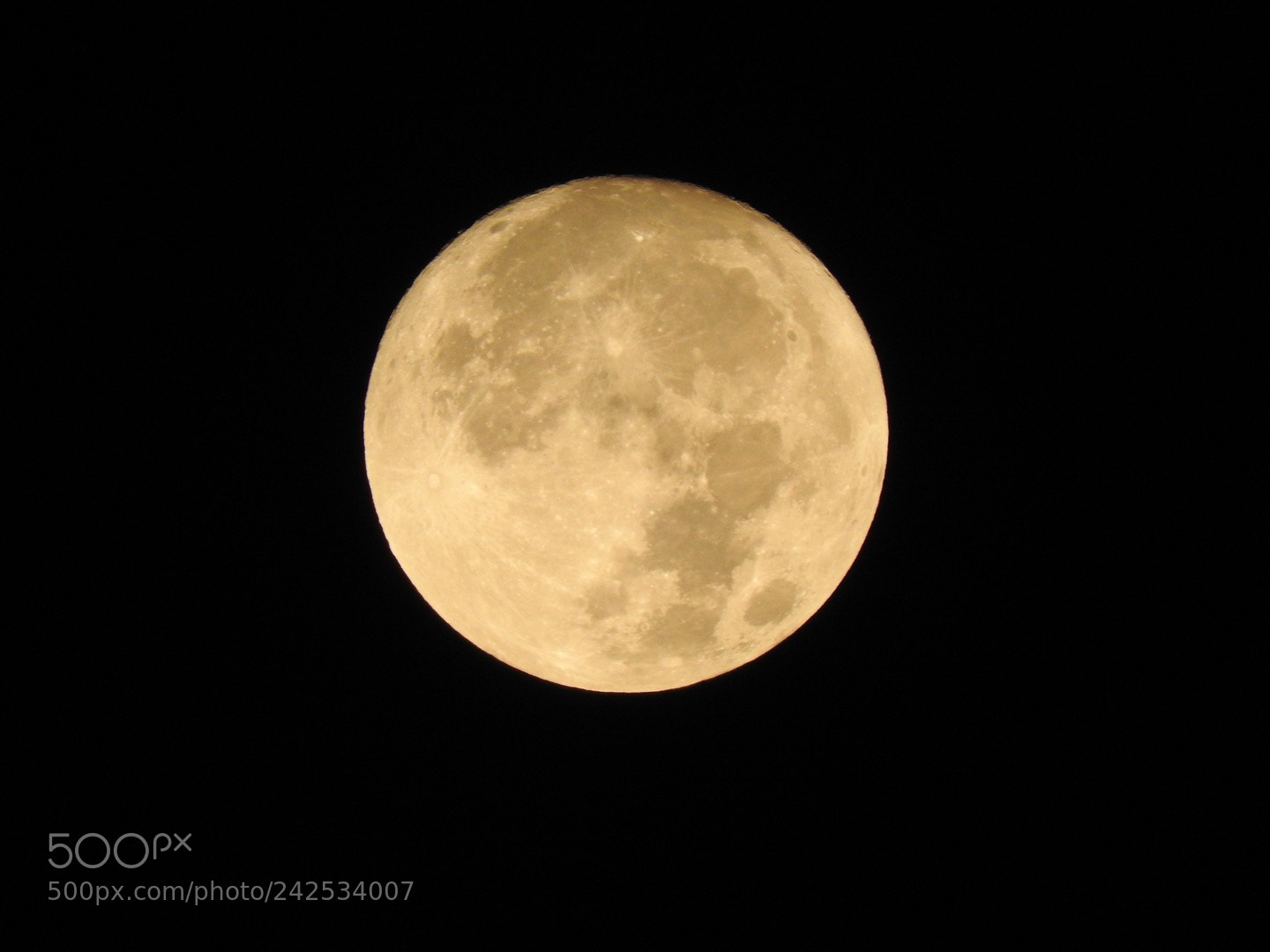 Nikon Coolpix P610 sample photo. La primera luna del photography