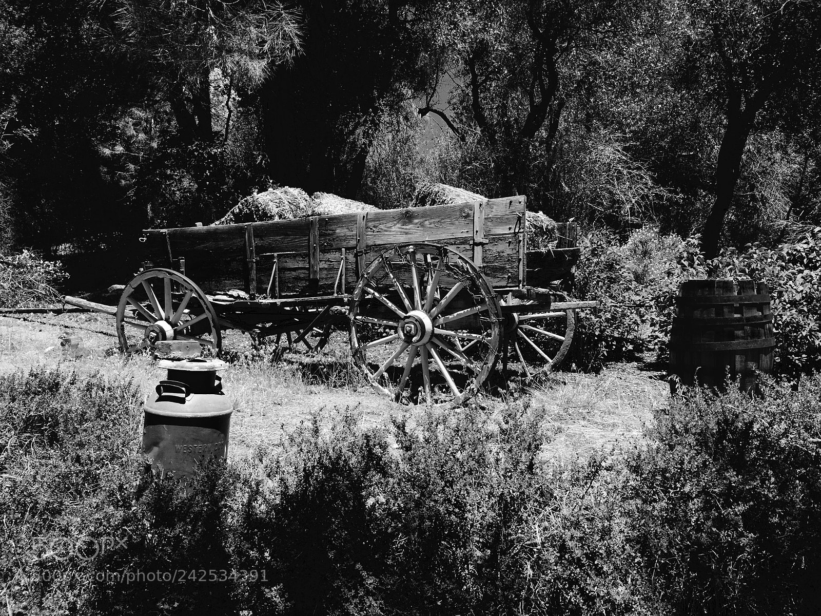 Apple iPhone 6 sample photo. Kern river  photography