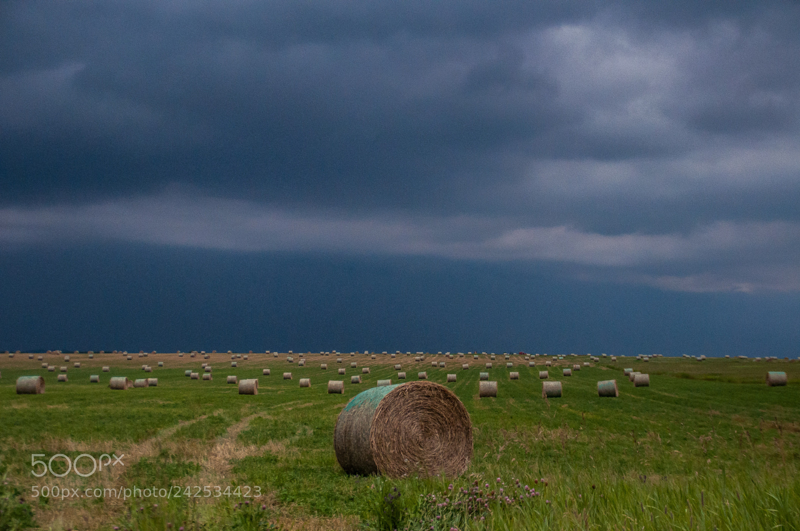 Nikon D90 sample photo. Ominous prairie skies photography