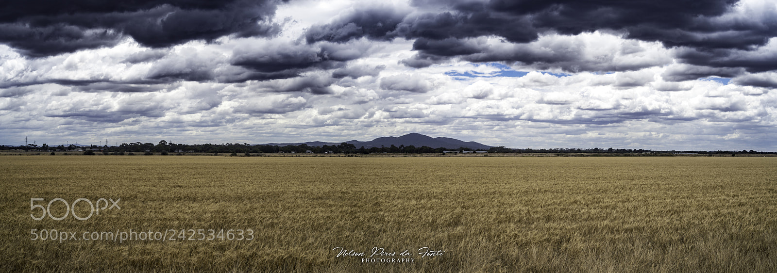 Pentax K-1 sample photo. Field of storms photography