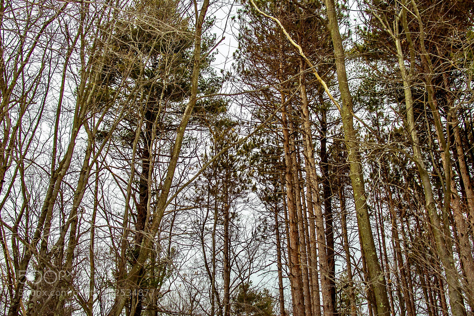 Nikon D7200 sample photo. In the sky photography