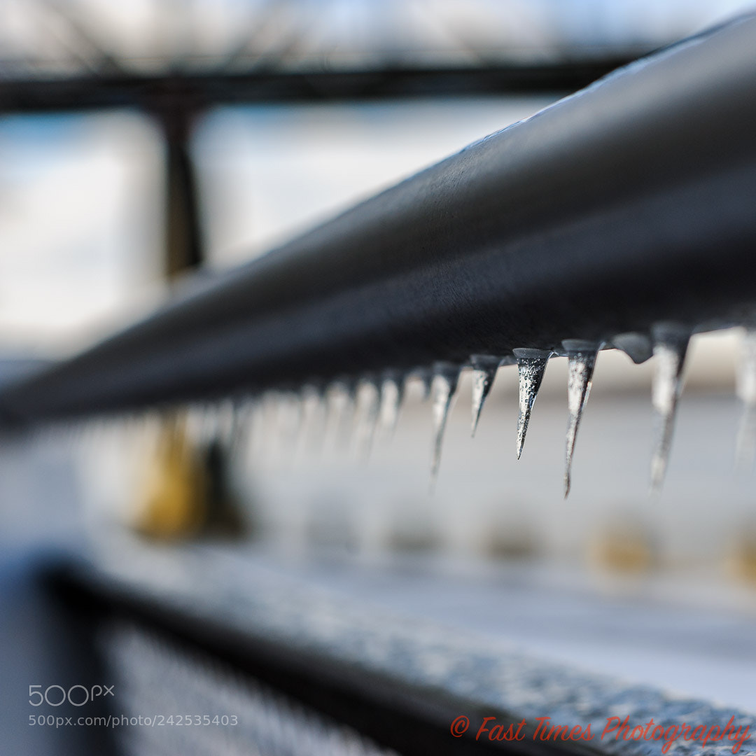 Nikon D700 sample photo. Icicles photography