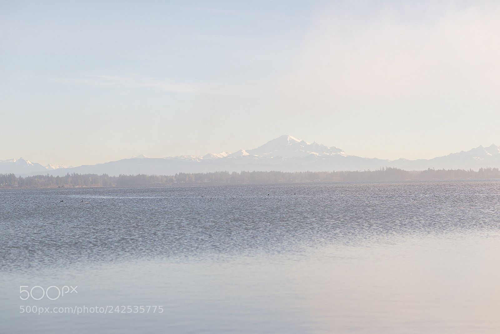 Nikon D600 sample photo. Mt baker photography