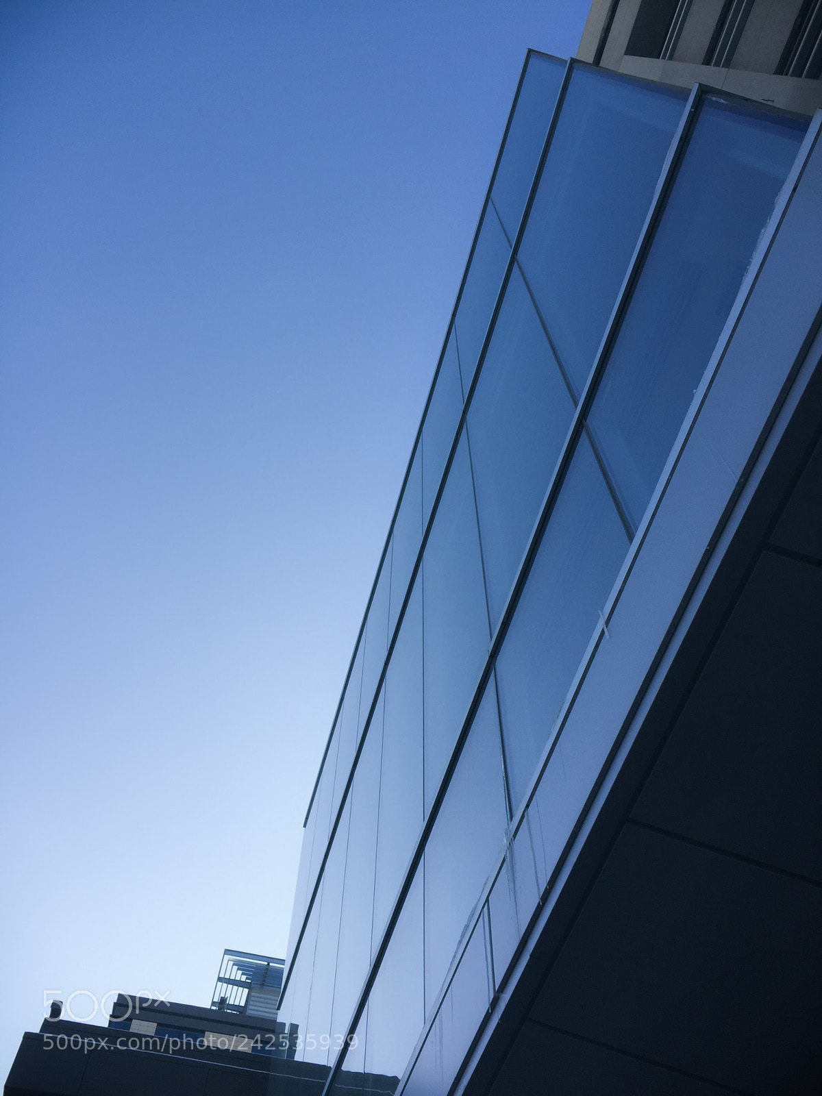 Apple iPhone 6 sample photo. Bow valley college photography