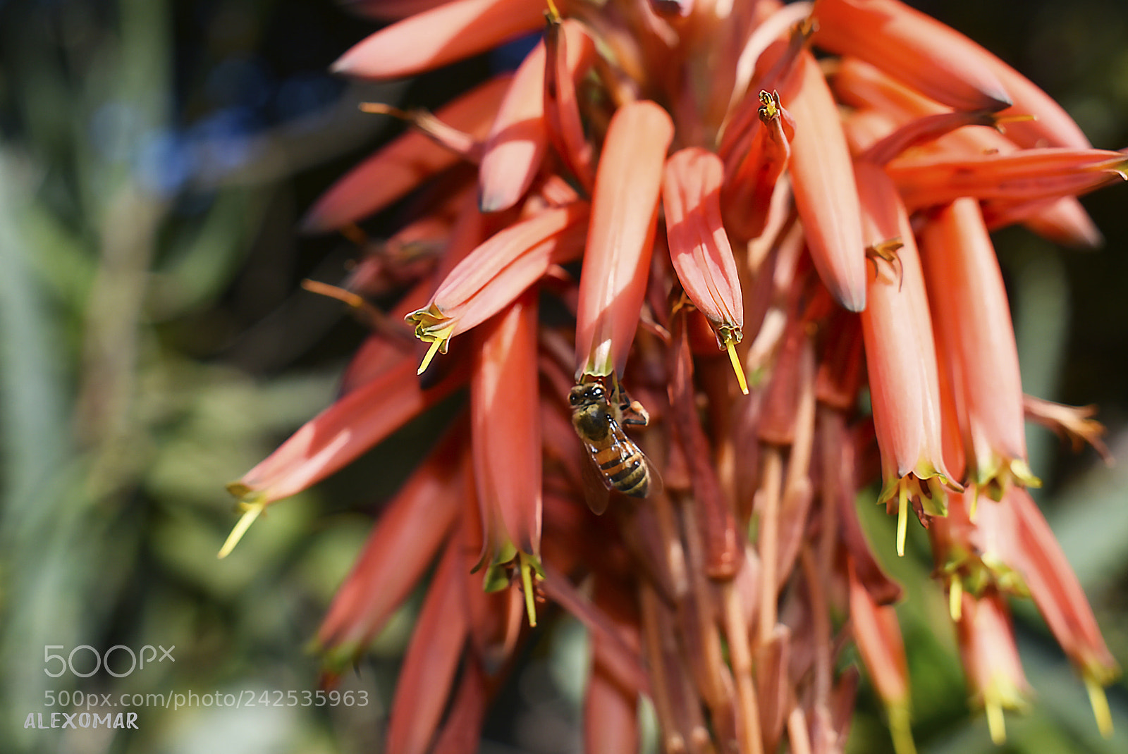 Nikon D3400 sample photo. Nature time photography