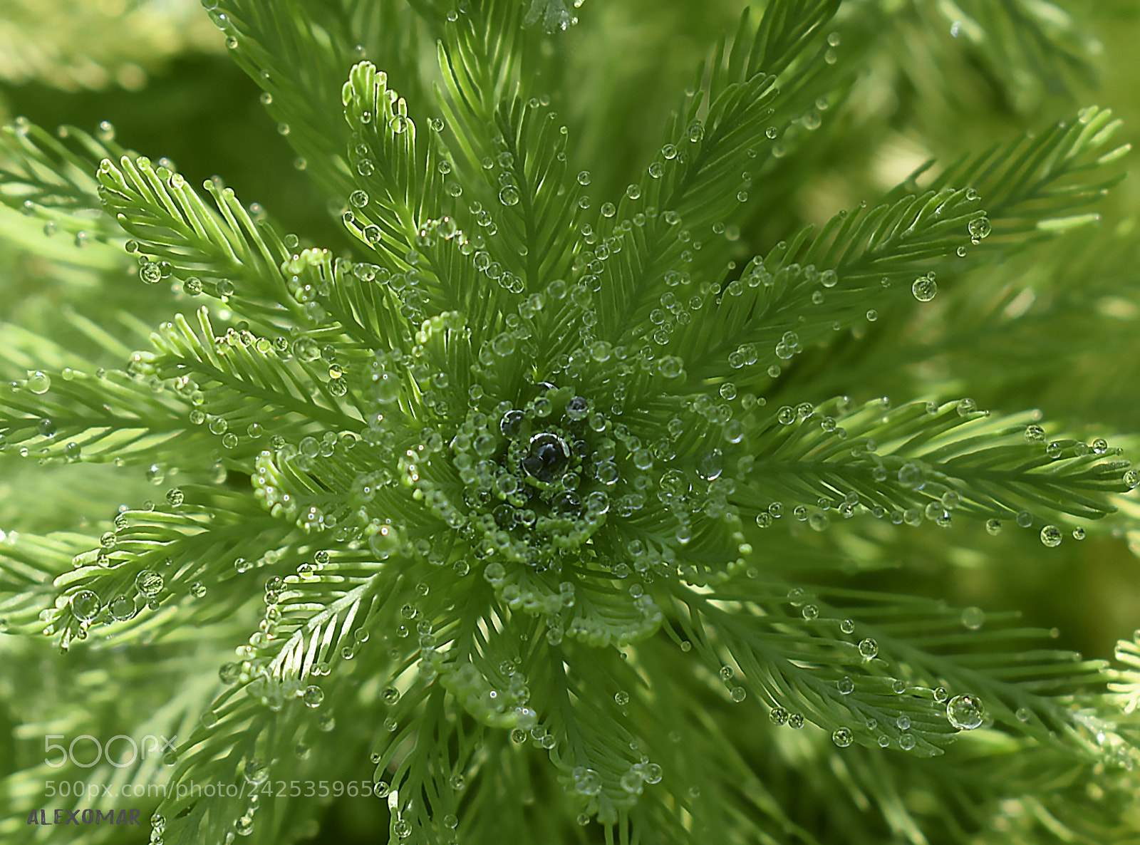 Nikon D3400 sample photo. Nature time photography