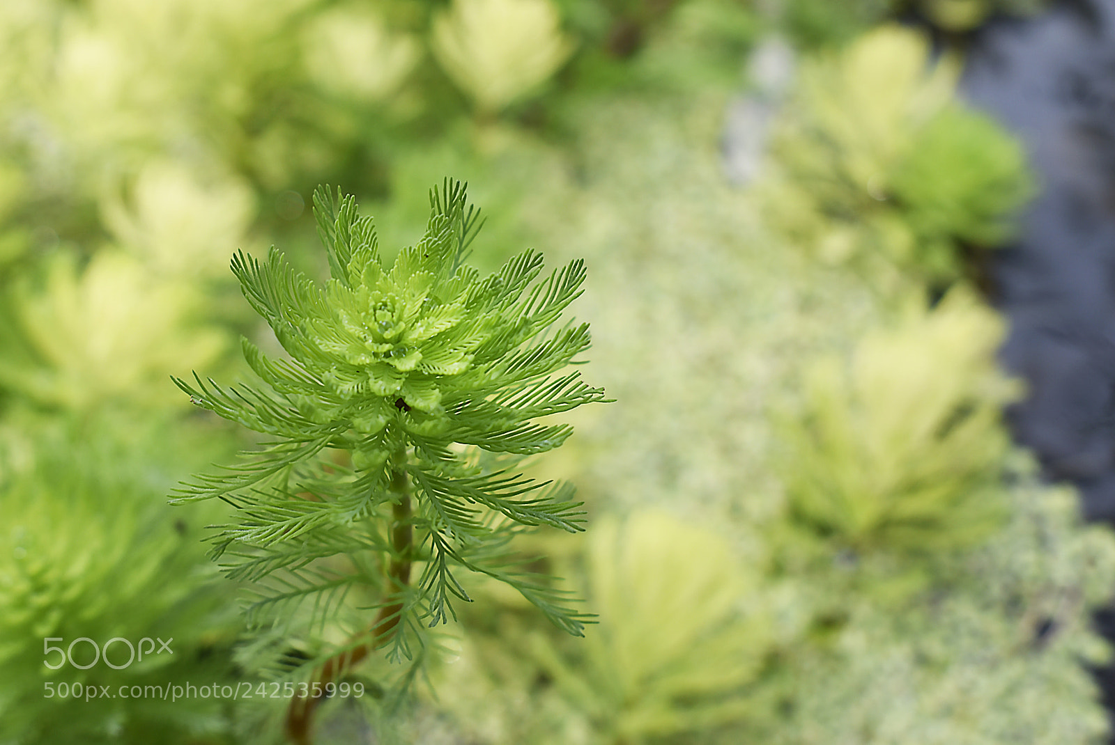 Nikon D3400 sample photo. Nature time photography