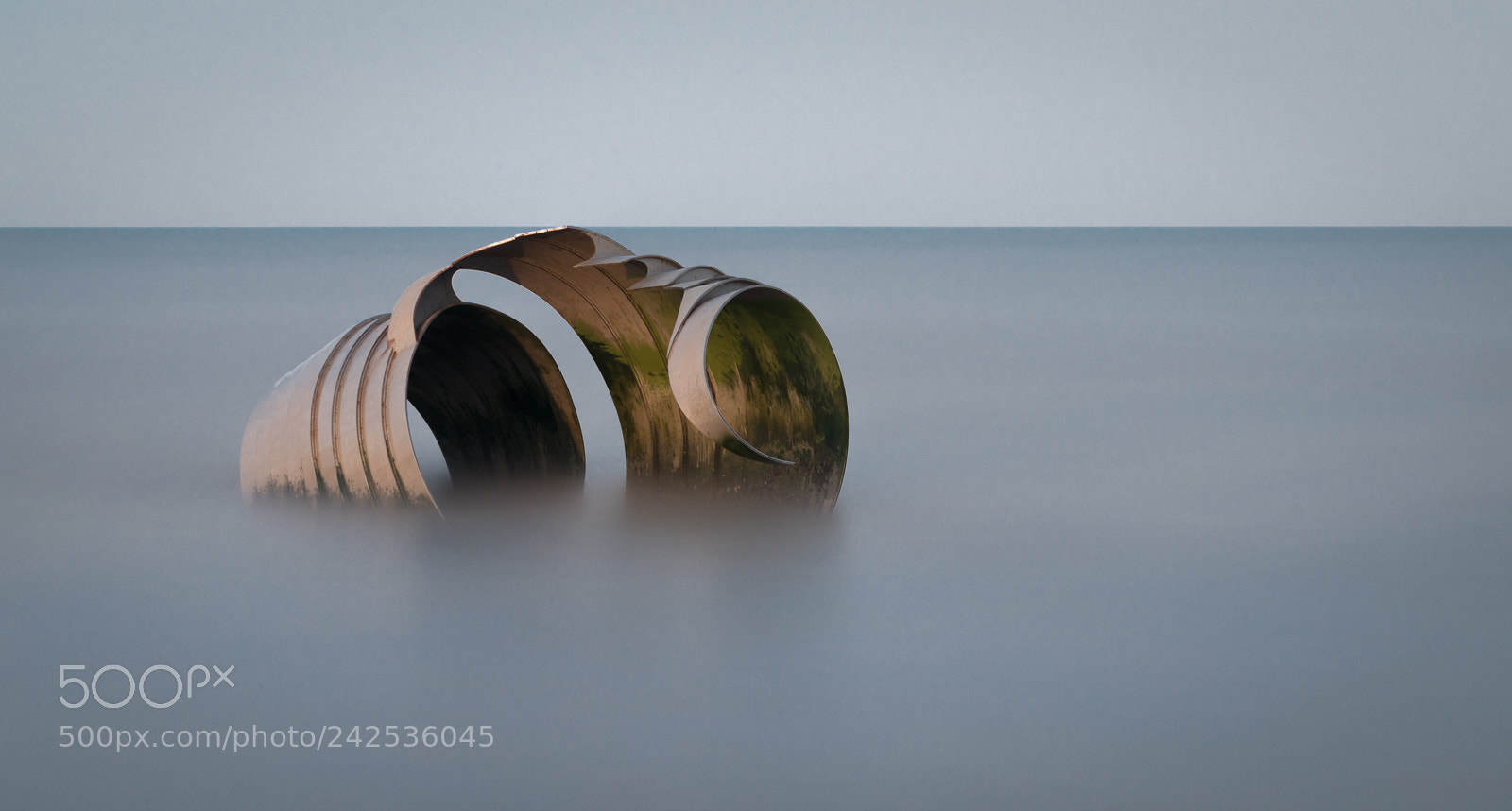 Nikon D800 sample photo. Mary's shell photography