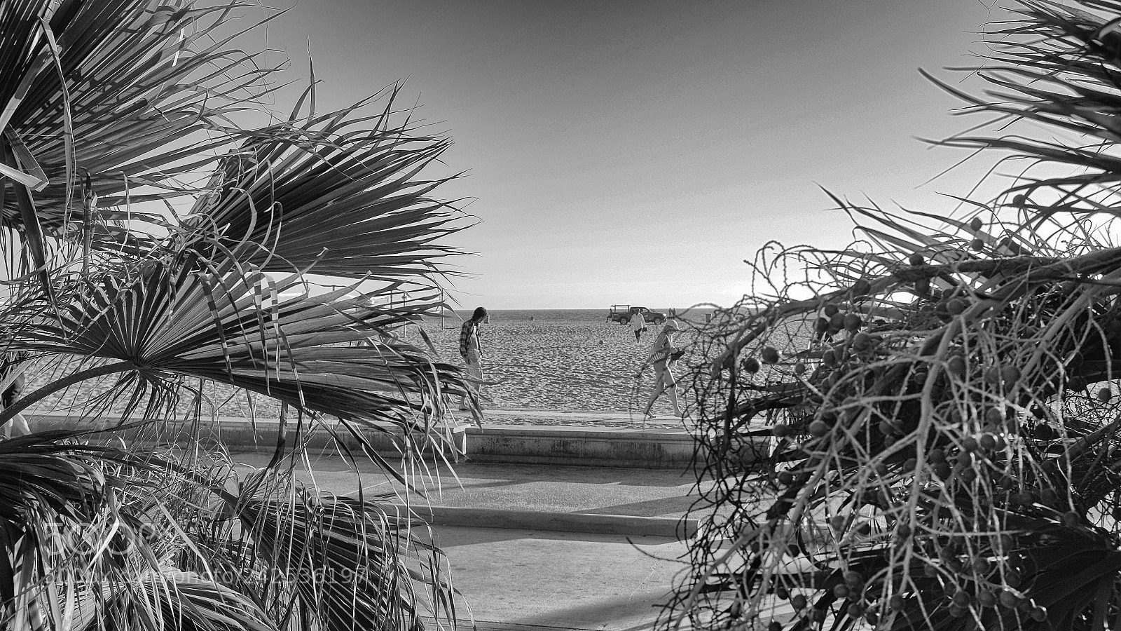Fujifilm X100T sample photo. Santa monica series photography