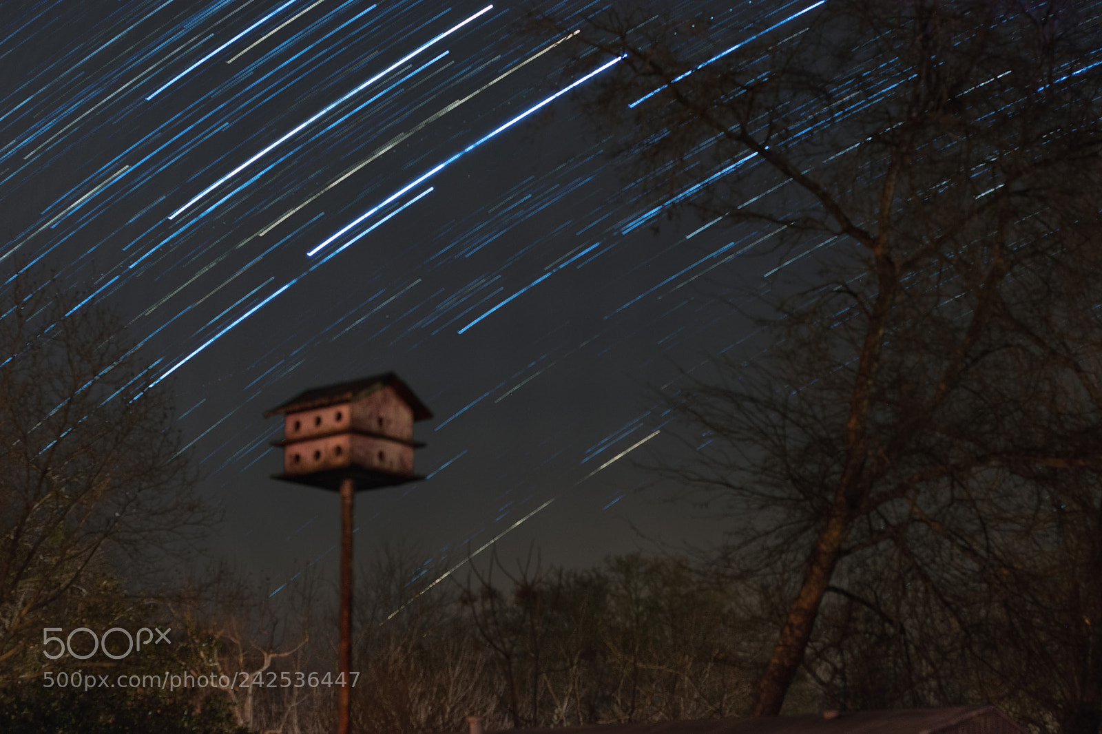 Nikon D5500 sample photo. Startrail photography