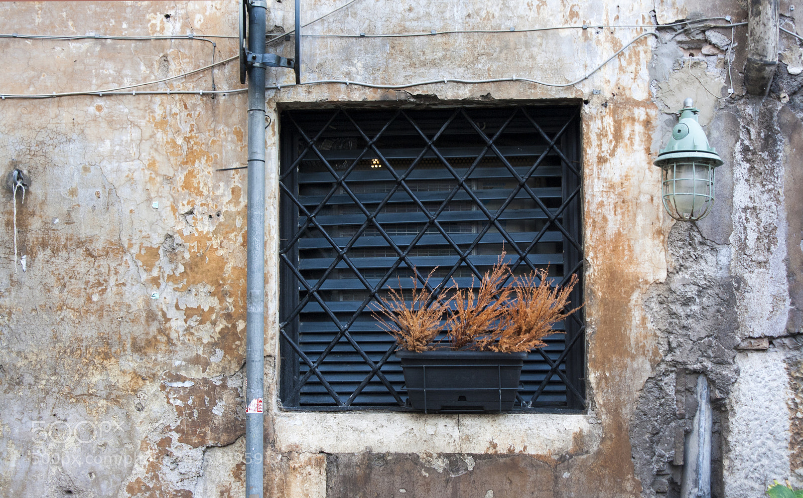 Canon EOS 1000D (EOS Digital Rebel XS / EOS Kiss F) sample photo. Beauty in decay photography