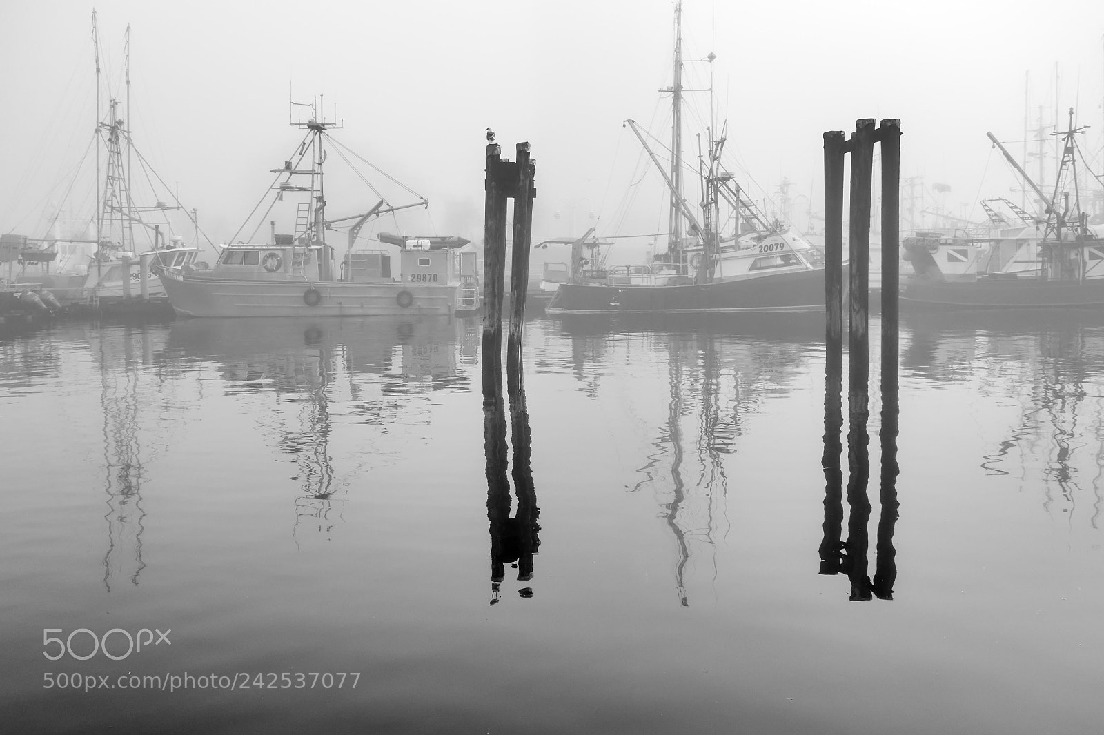 Sony Cyber-shot DSC-RX100 sample photo. Today foggy day on photography