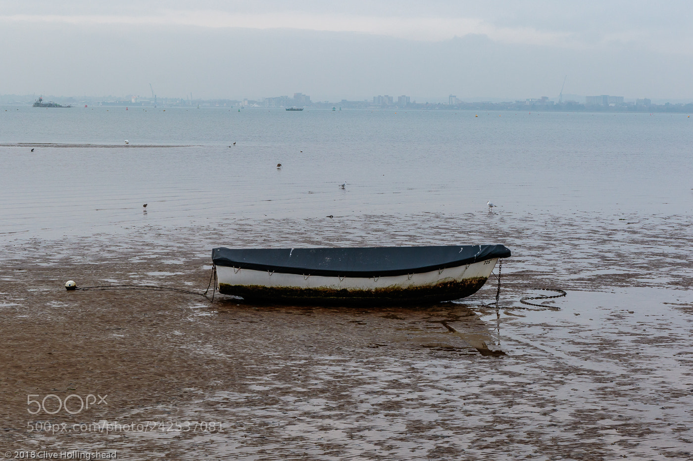 Canon EOS 7D Mark II sample photo. Stuck in the mud photography