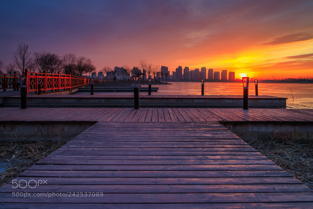 Canon EOS 6D Mark II sample photo. Purple and golden lights photography