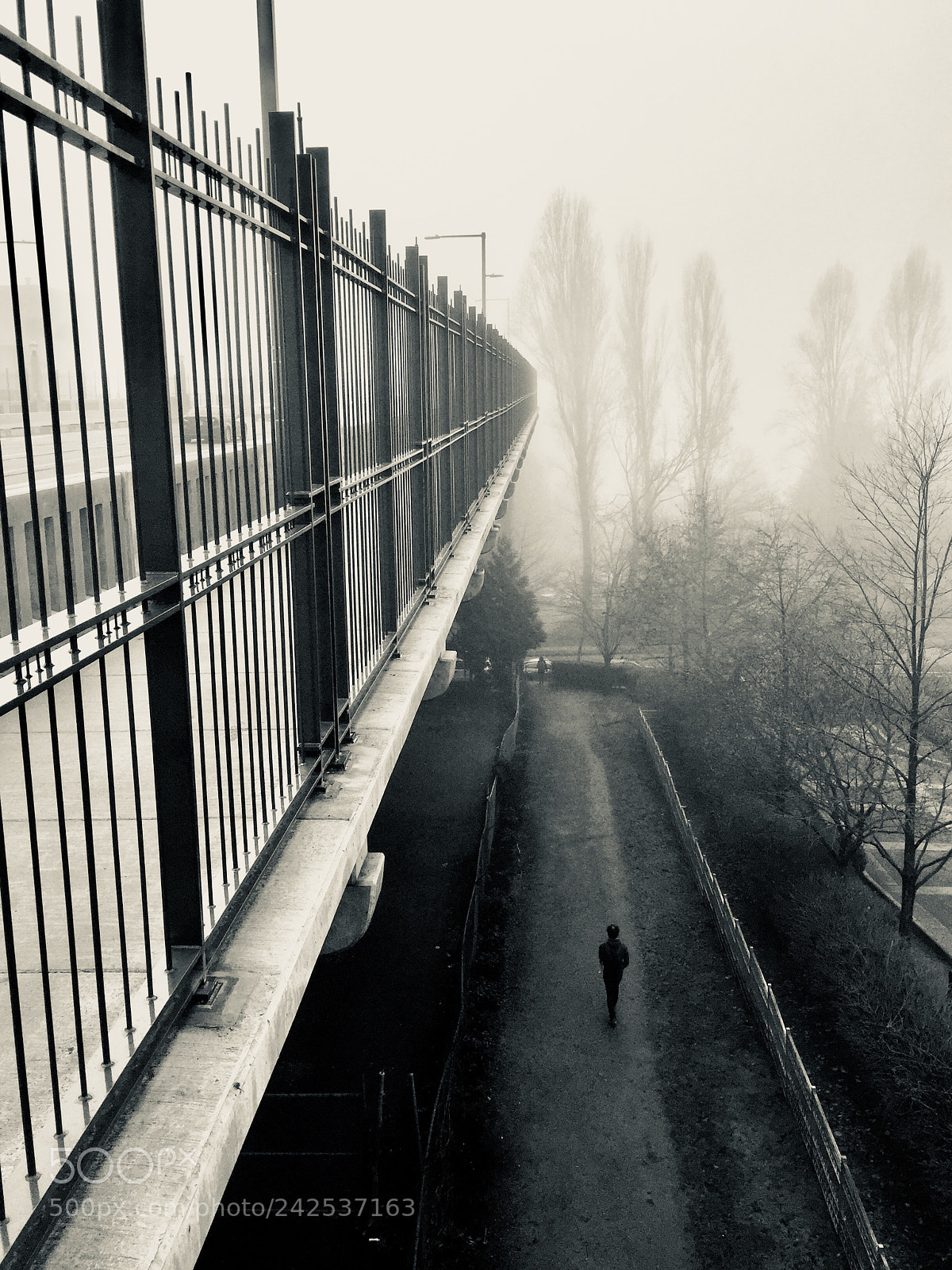 Apple iPhone 6 sample photo. Burrard bridges sunday fog photography
