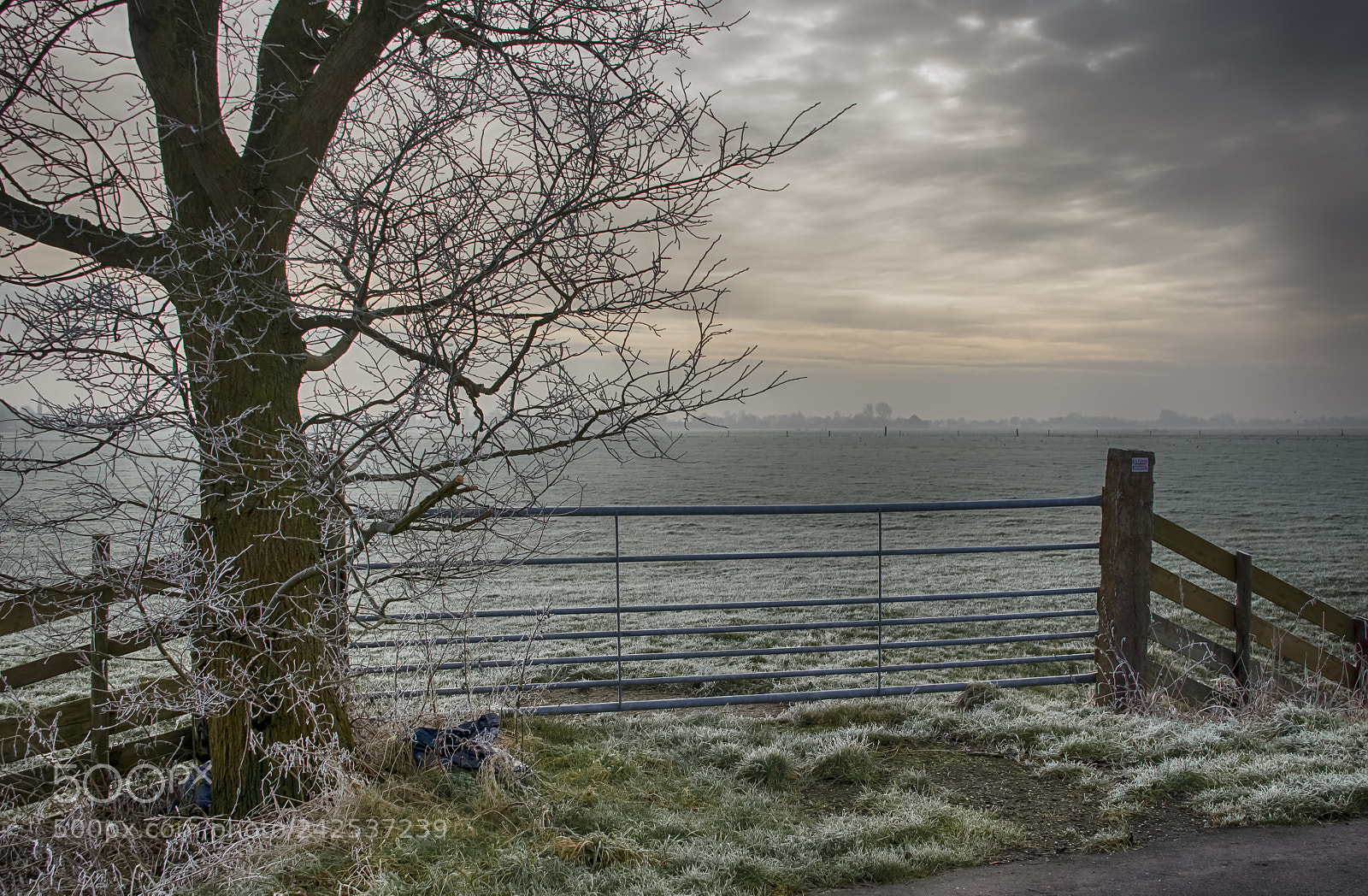 Nikon D5100 sample photo. Winter solitude ! photography