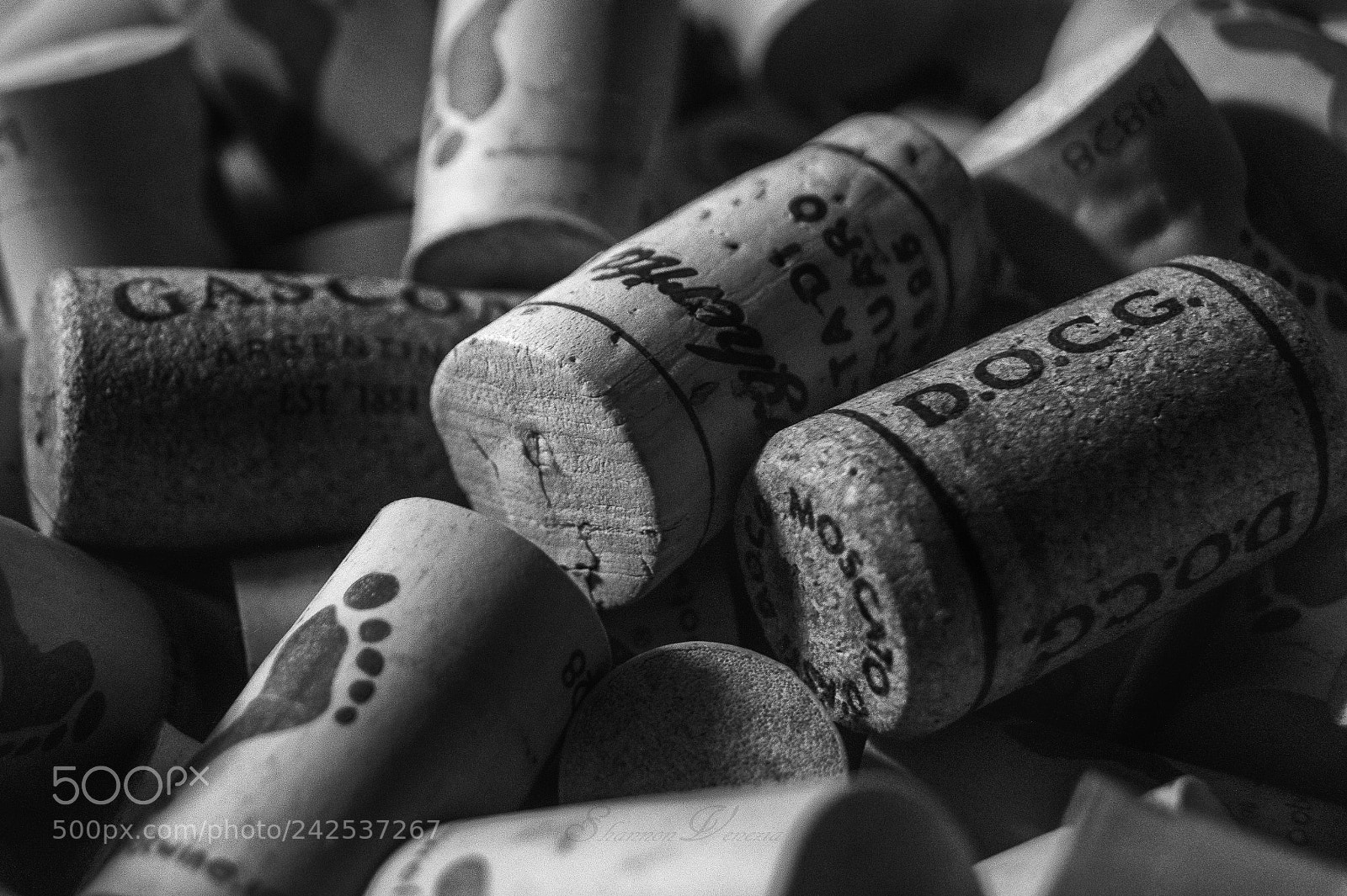 Sony SLT-A58 sample photo. Moscato photography