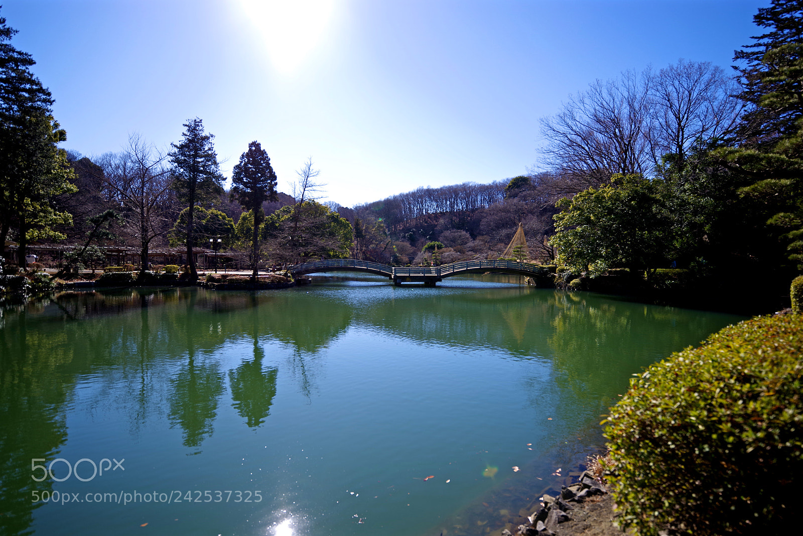 Pentax K-1 sample photo. Winter days photography