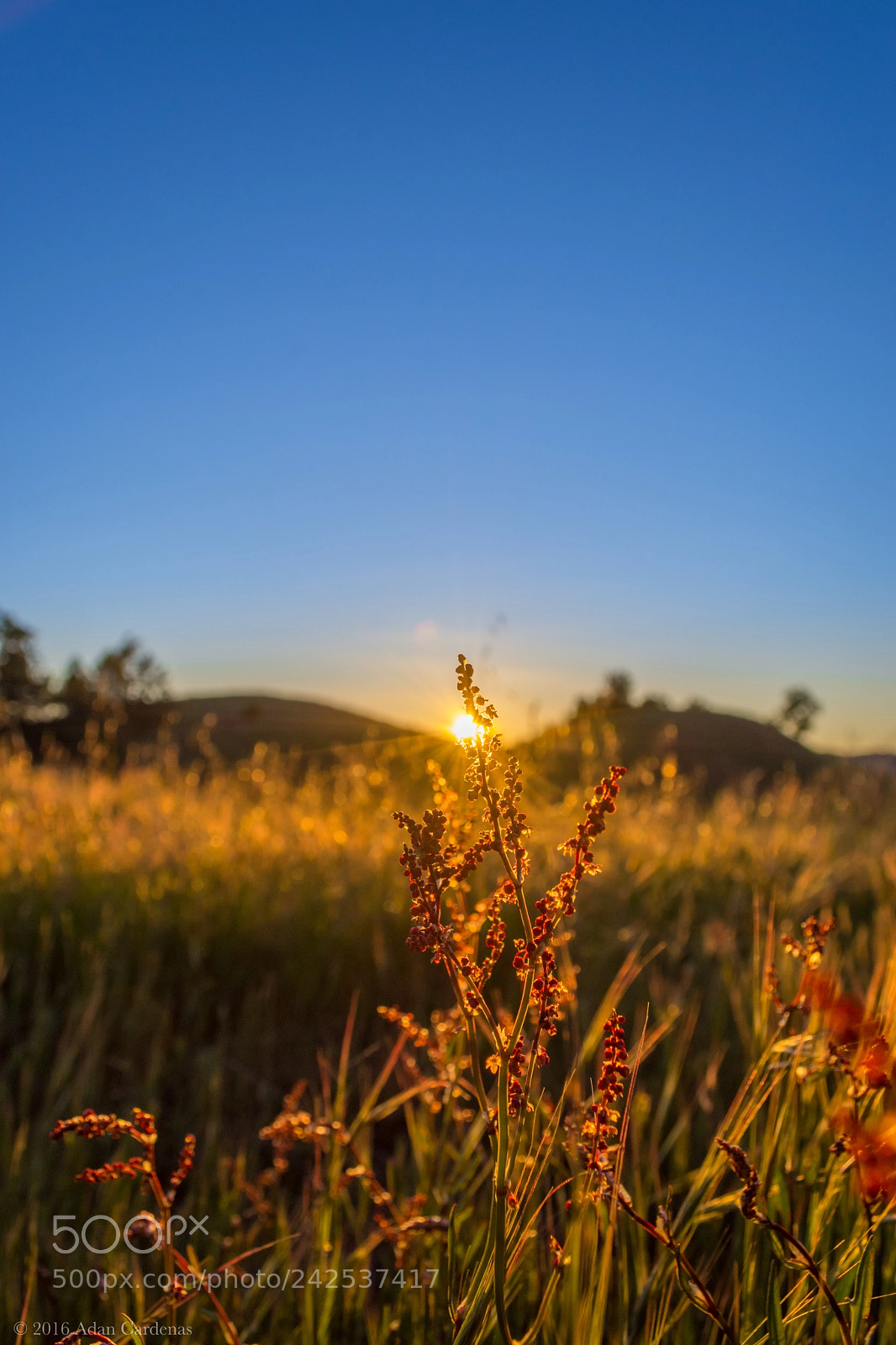 Nikon D7200 sample photo. Sunrise photography