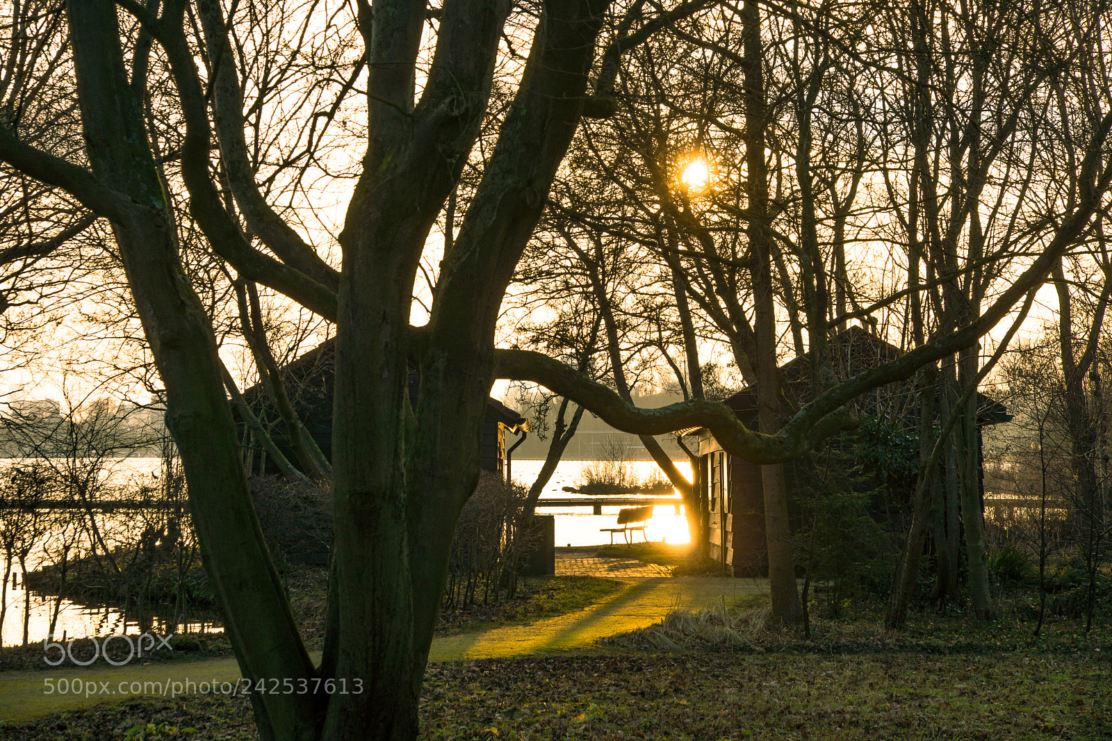 Sony SLT-A65 (SLT-A65V) sample photo. Rotterdam photography