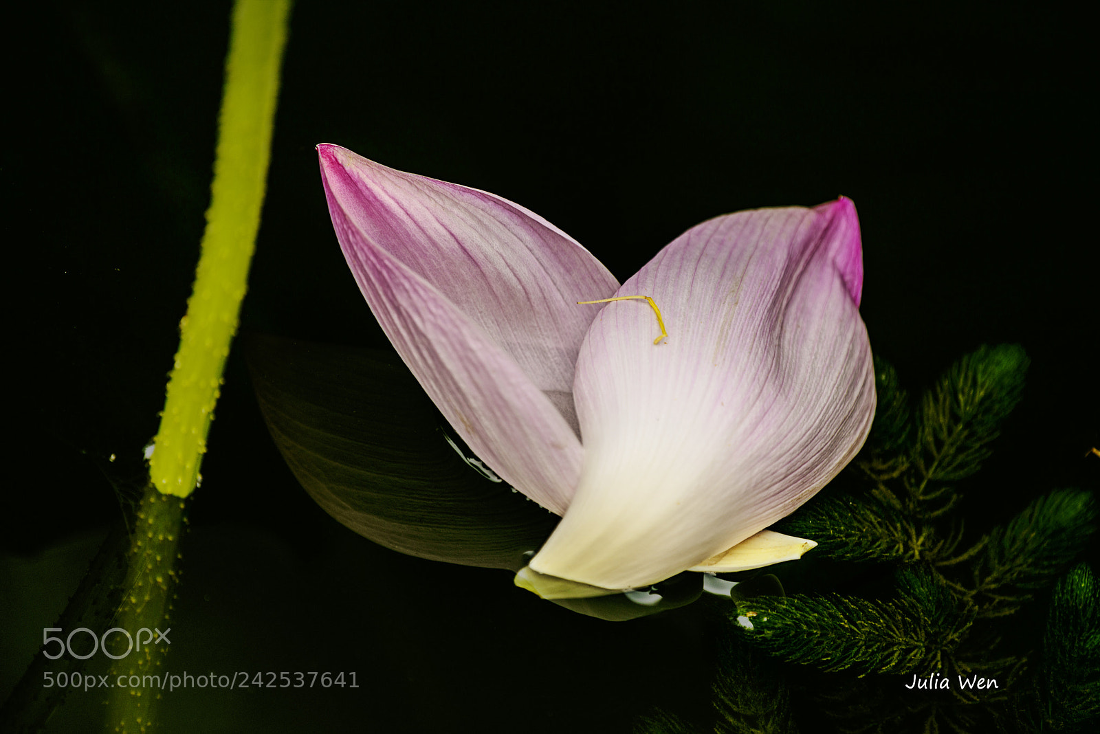 Nikon D800 sample photo. Beijing china photography
