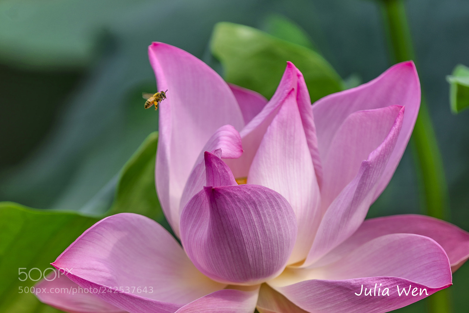 Nikon D800 sample photo. Beijing china photography
