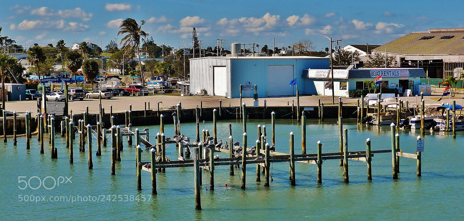 Nikon Coolpix P500 sample photo. Fisherman's wharf ruins photography