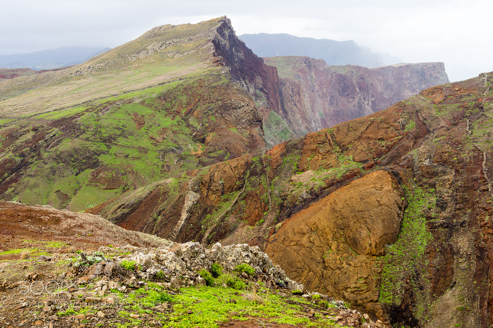 Sony SLT-A65 (SLT-A65V) sample photo. Madeira photography