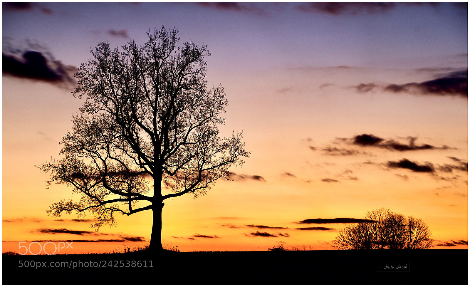 Nikon D500 sample photo. Fire in the sky photography