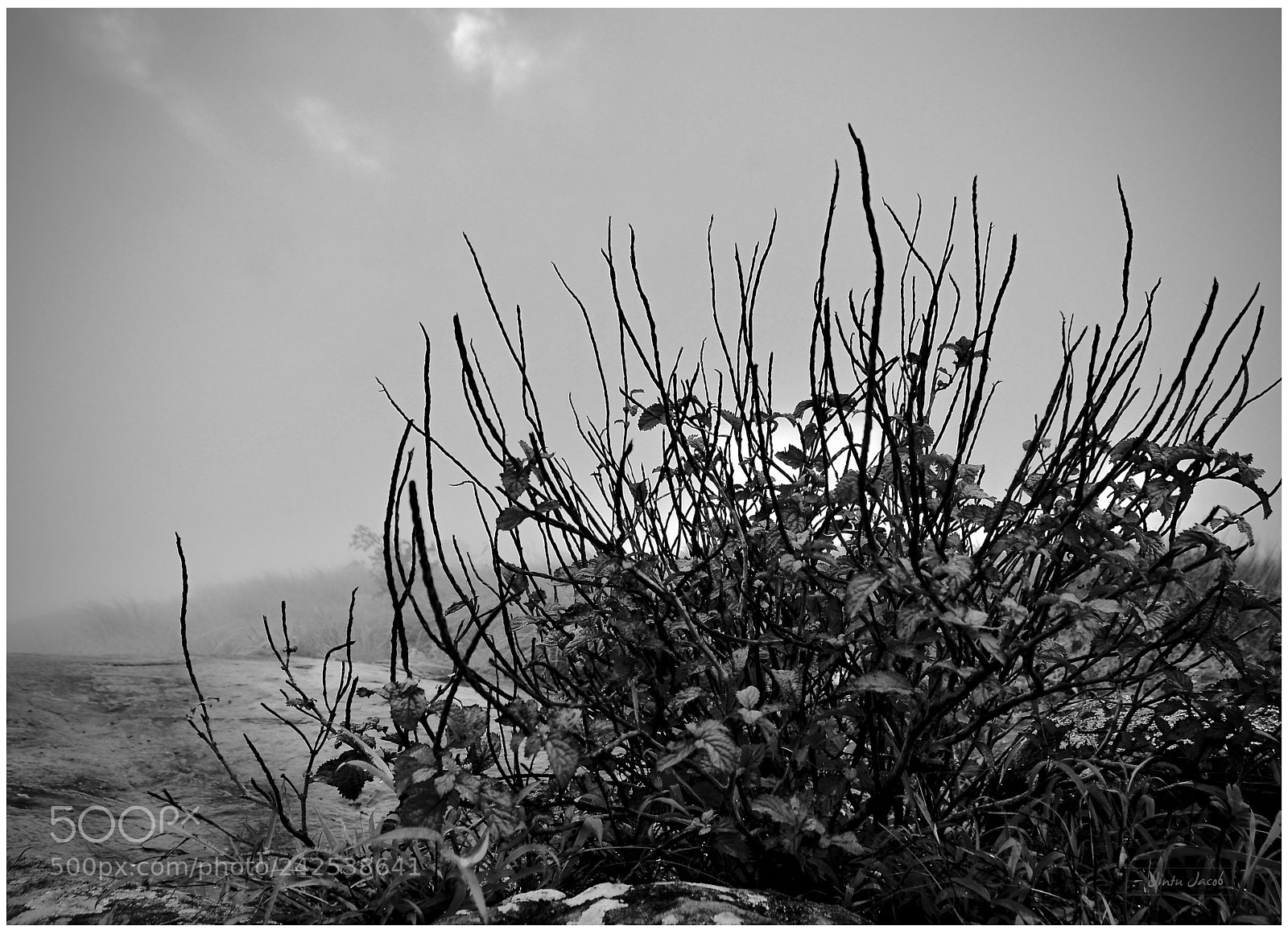 Nikon D5100 sample photo. Drama photography