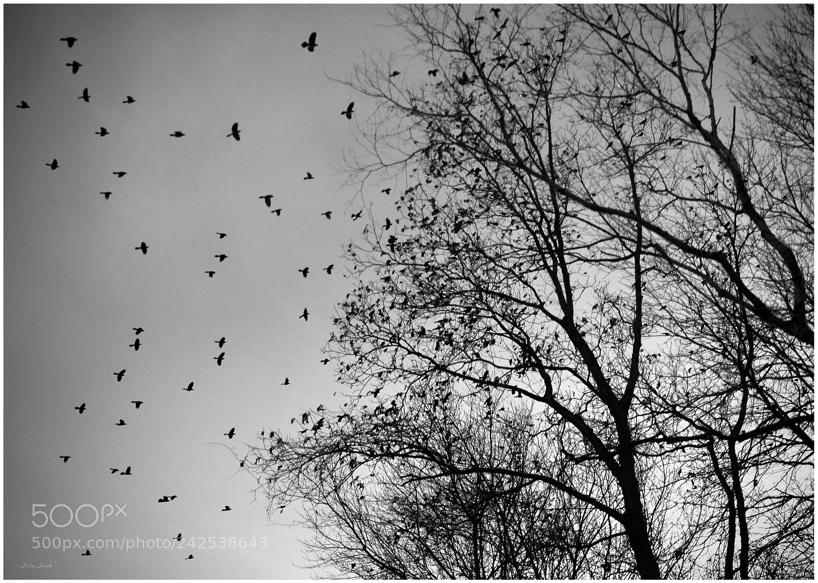 Nikon D5100 sample photo. Time to go home photography