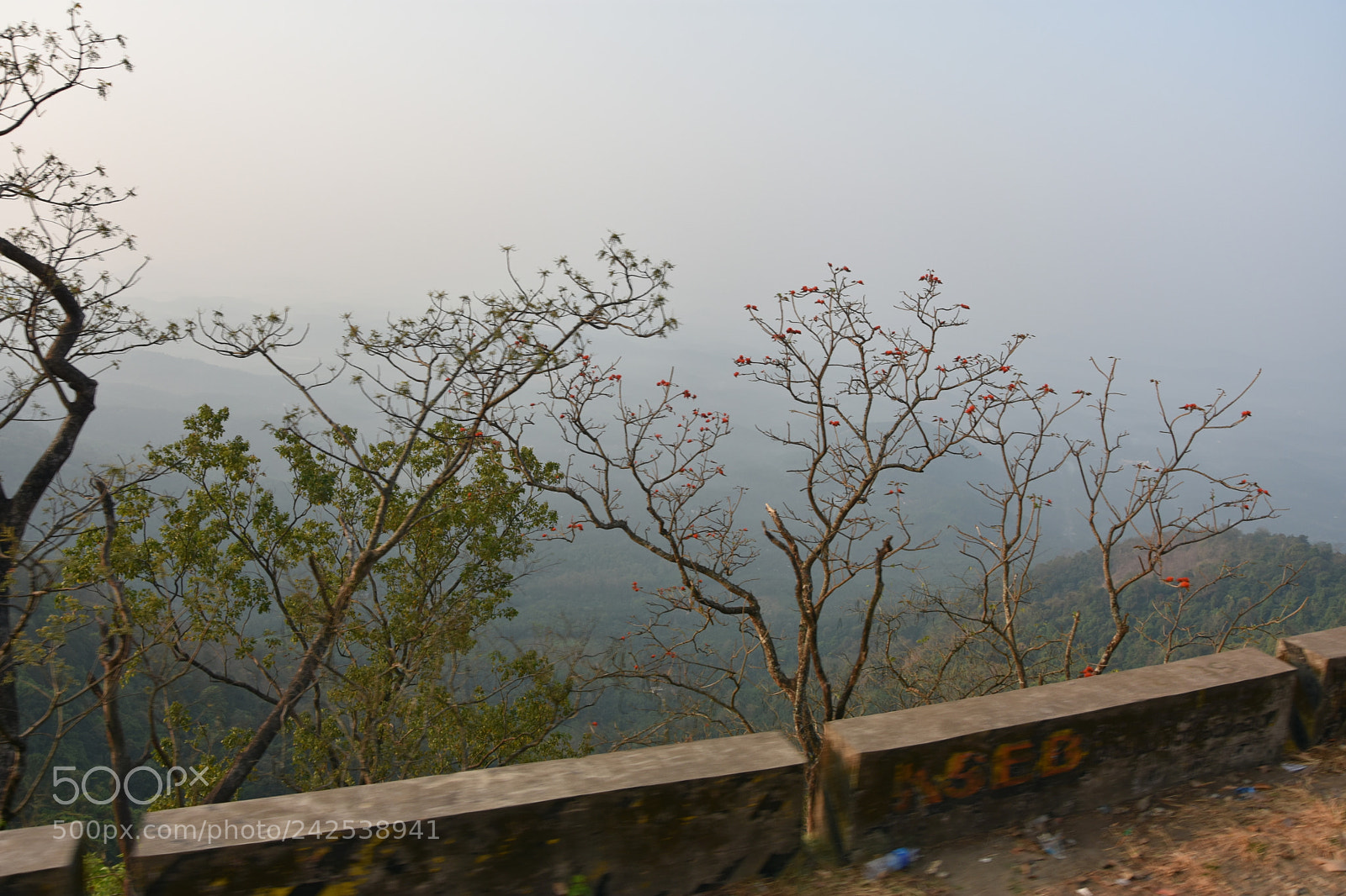 Nikon D7200 sample photo. Untitled photography