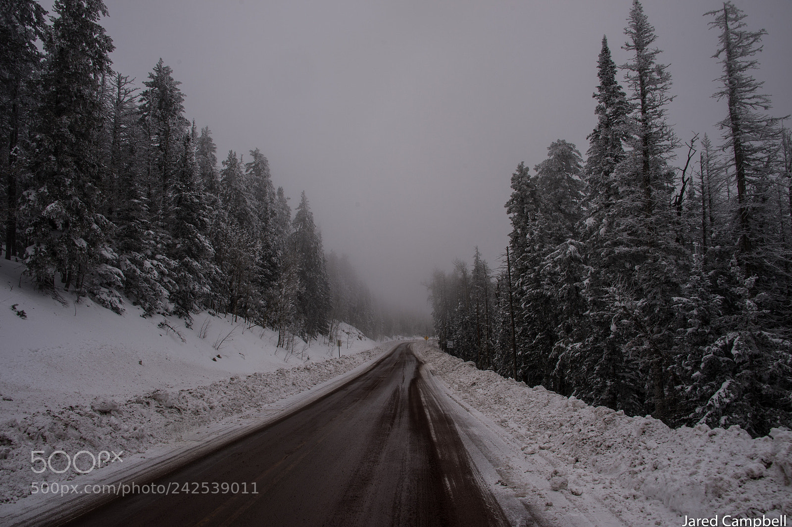 Nikon D4 sample photo. Winter in the mountains photography