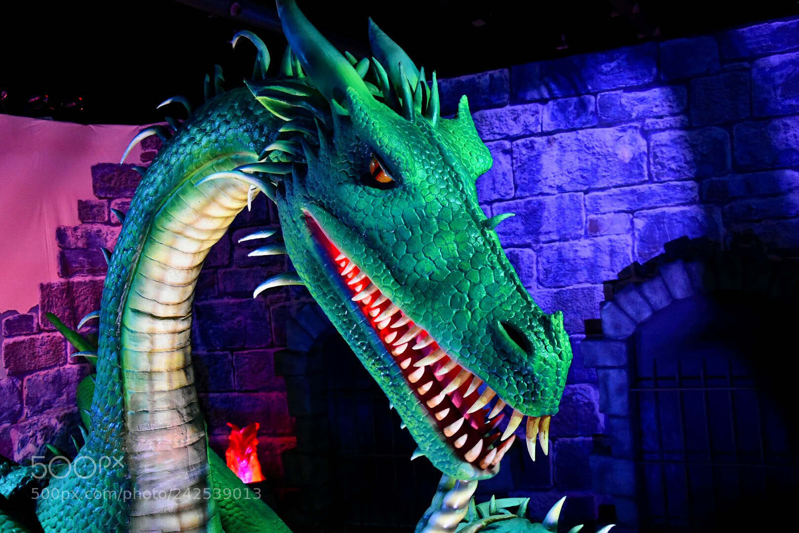 Nikon D5500 sample photo. Dragon land argentina. photography