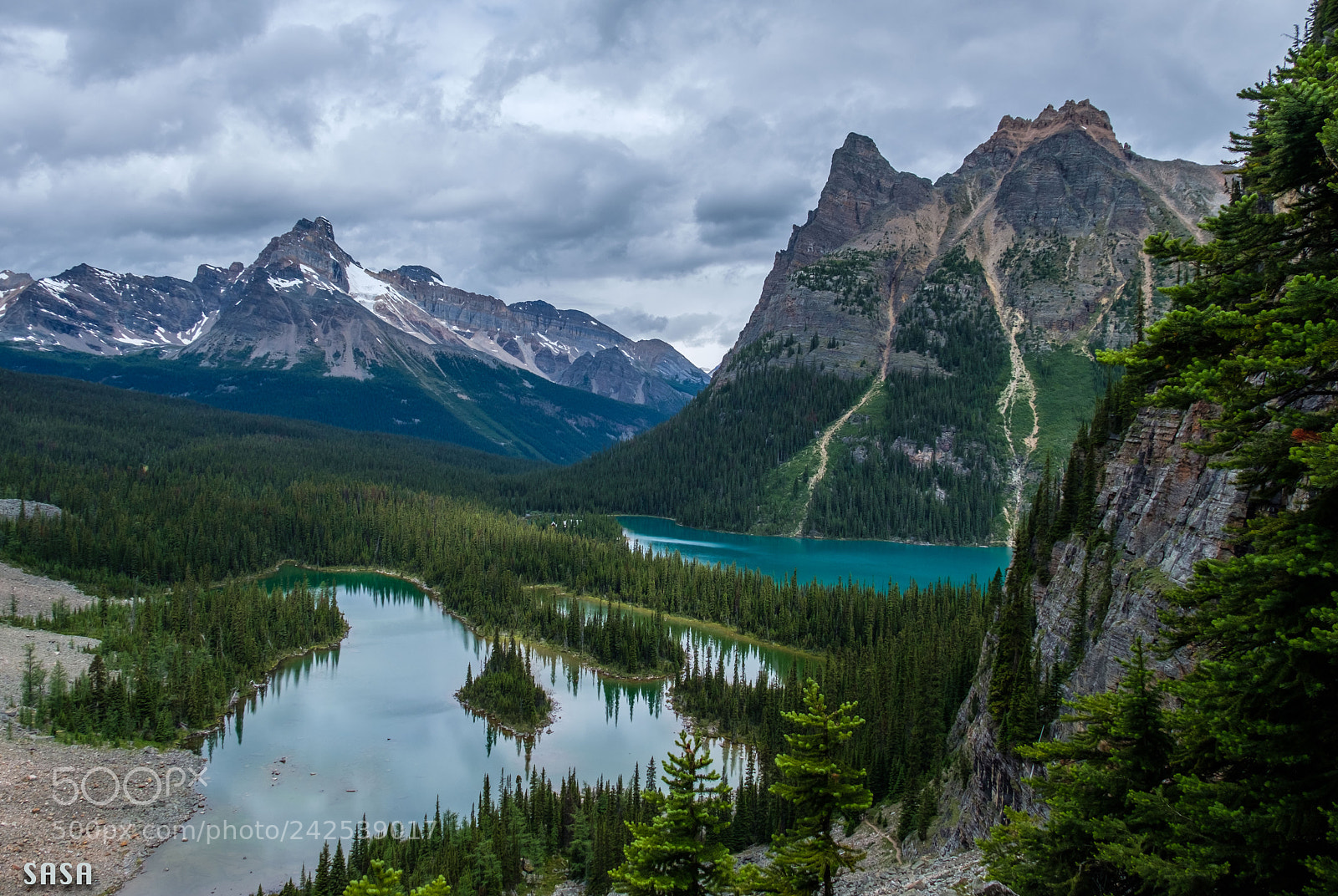 Fujifilm X-Pro2 sample photo. Canadian rocky photography