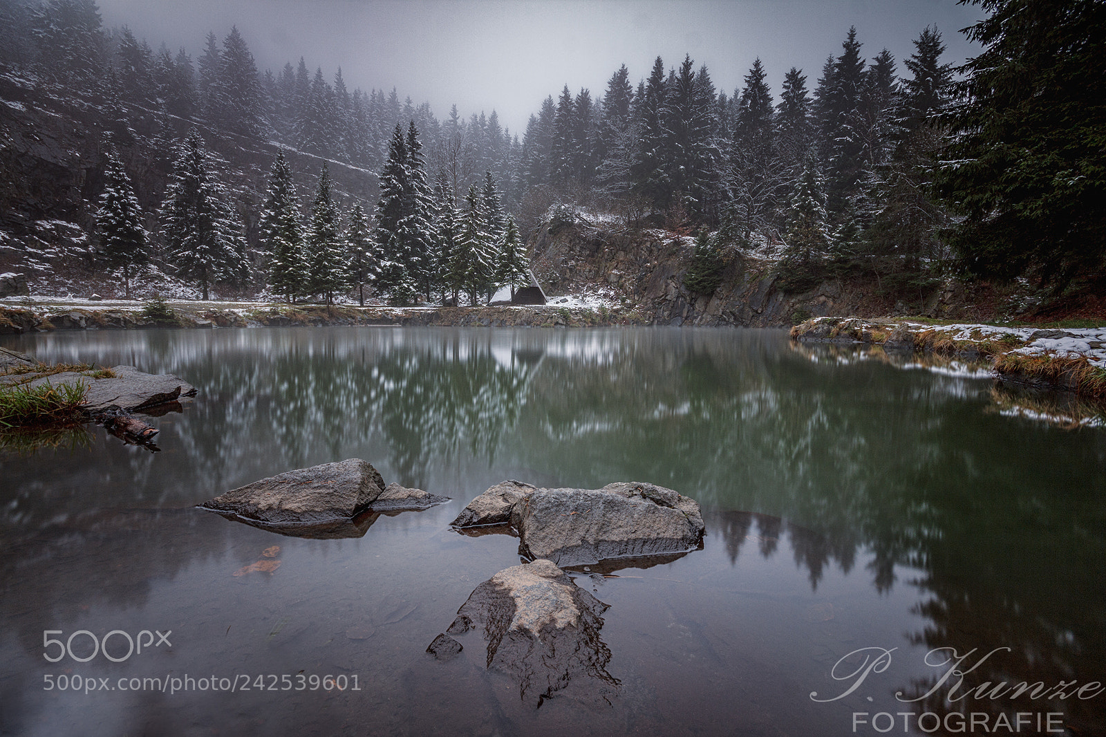 Canon EOS 60D sample photo. Ebertswiese im nebel photography