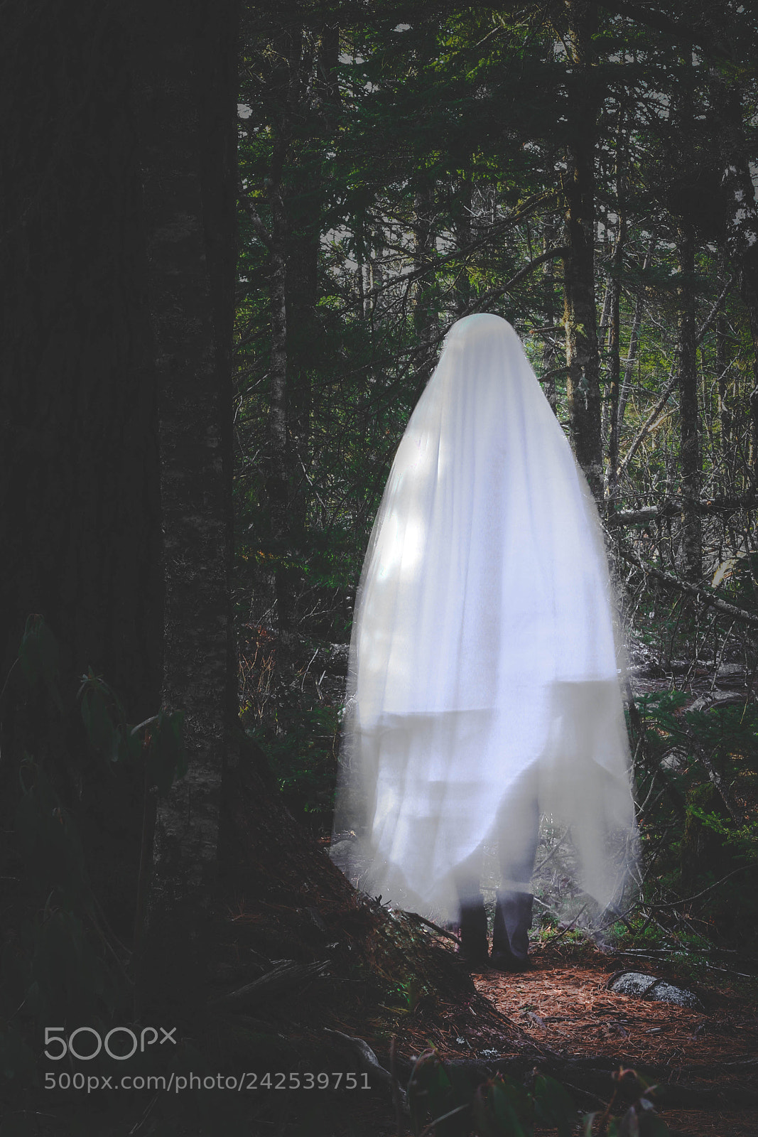 Canon EOS 60D sample photo. Always spooky photography