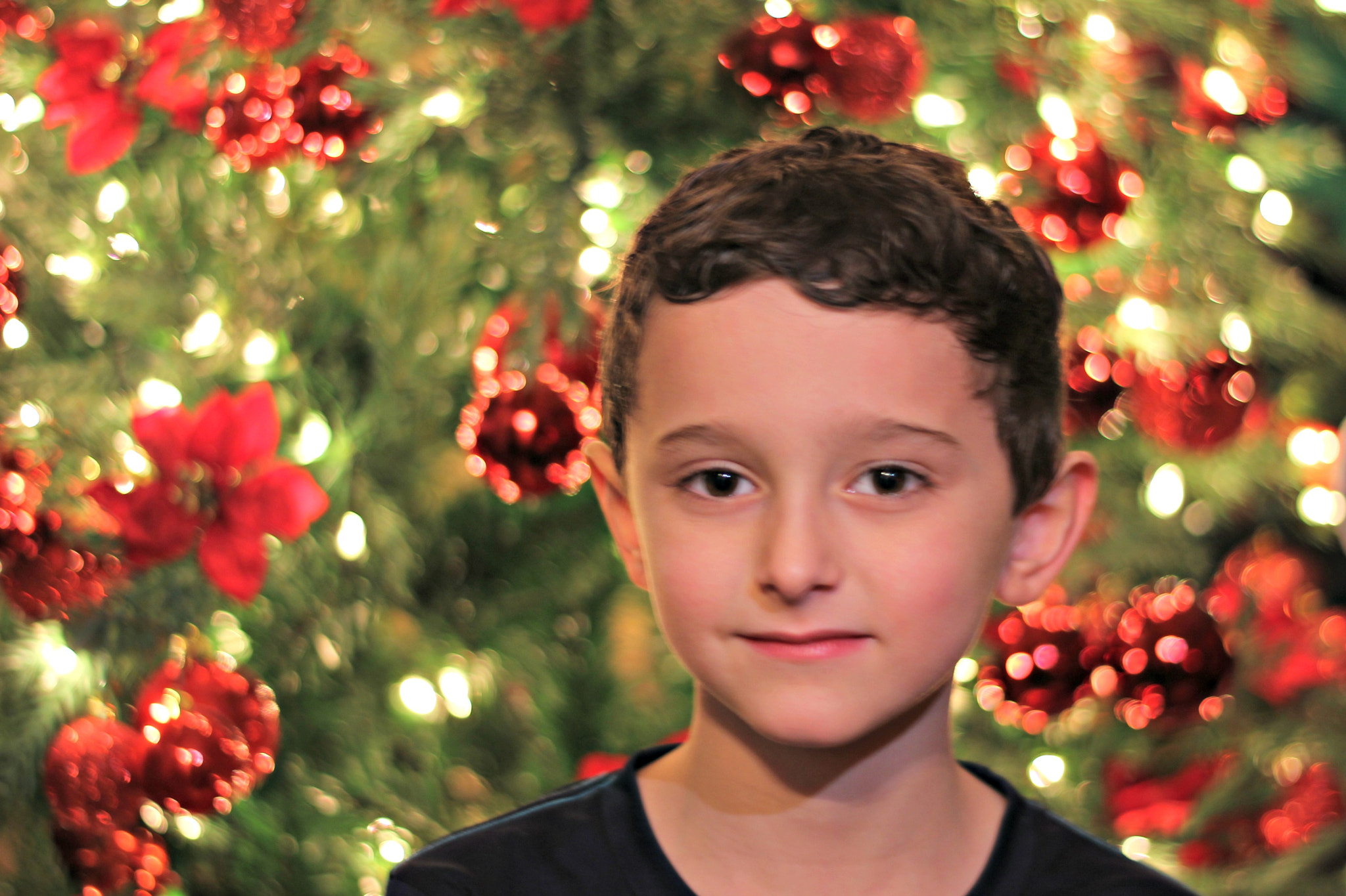 Canon EF 50mm F1.8 II sample photo. Jack's yearly christmas picture photography