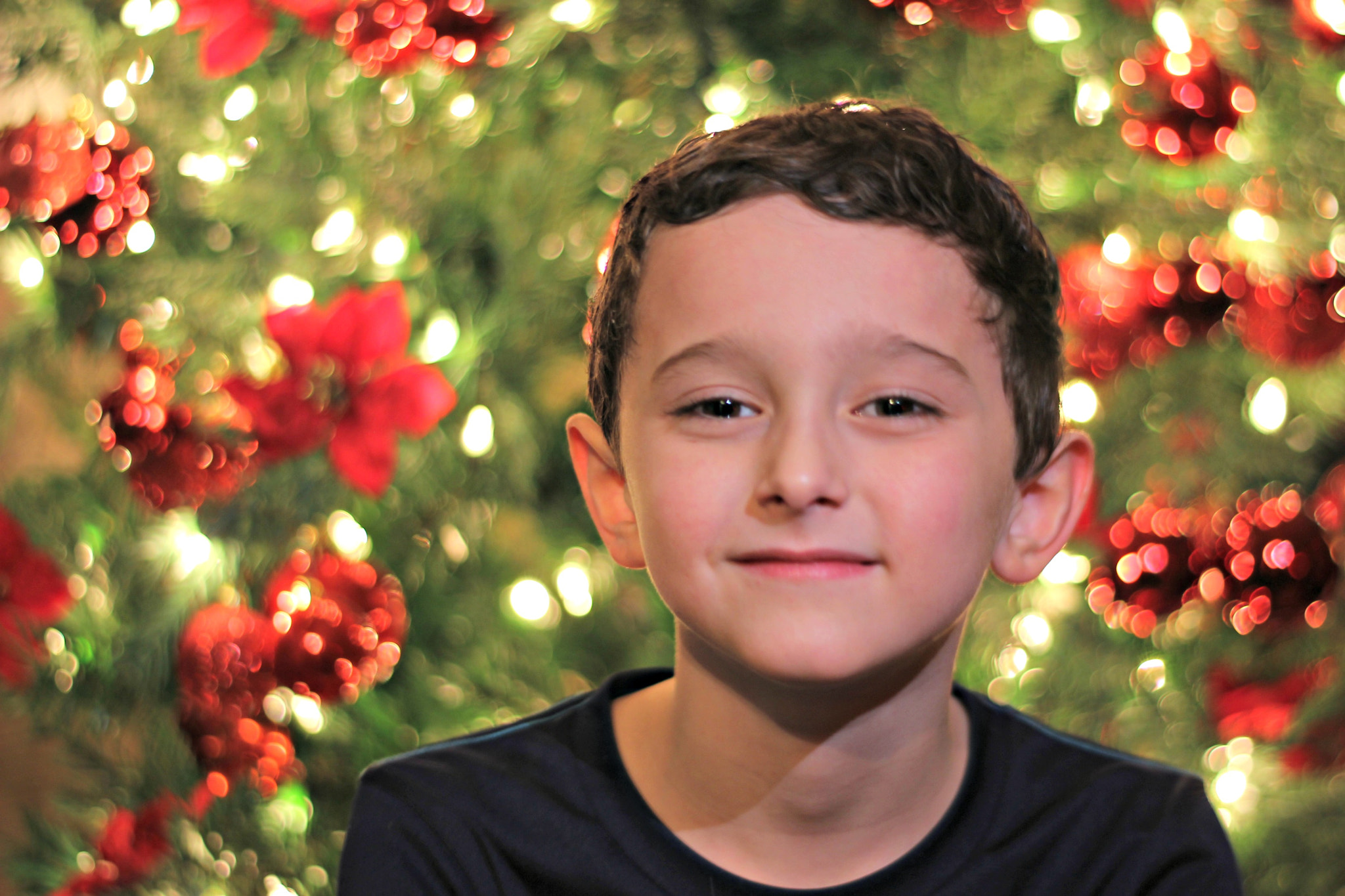 Canon EF 50mm F1.8 II sample photo. Jack's yearly christmas picture photography