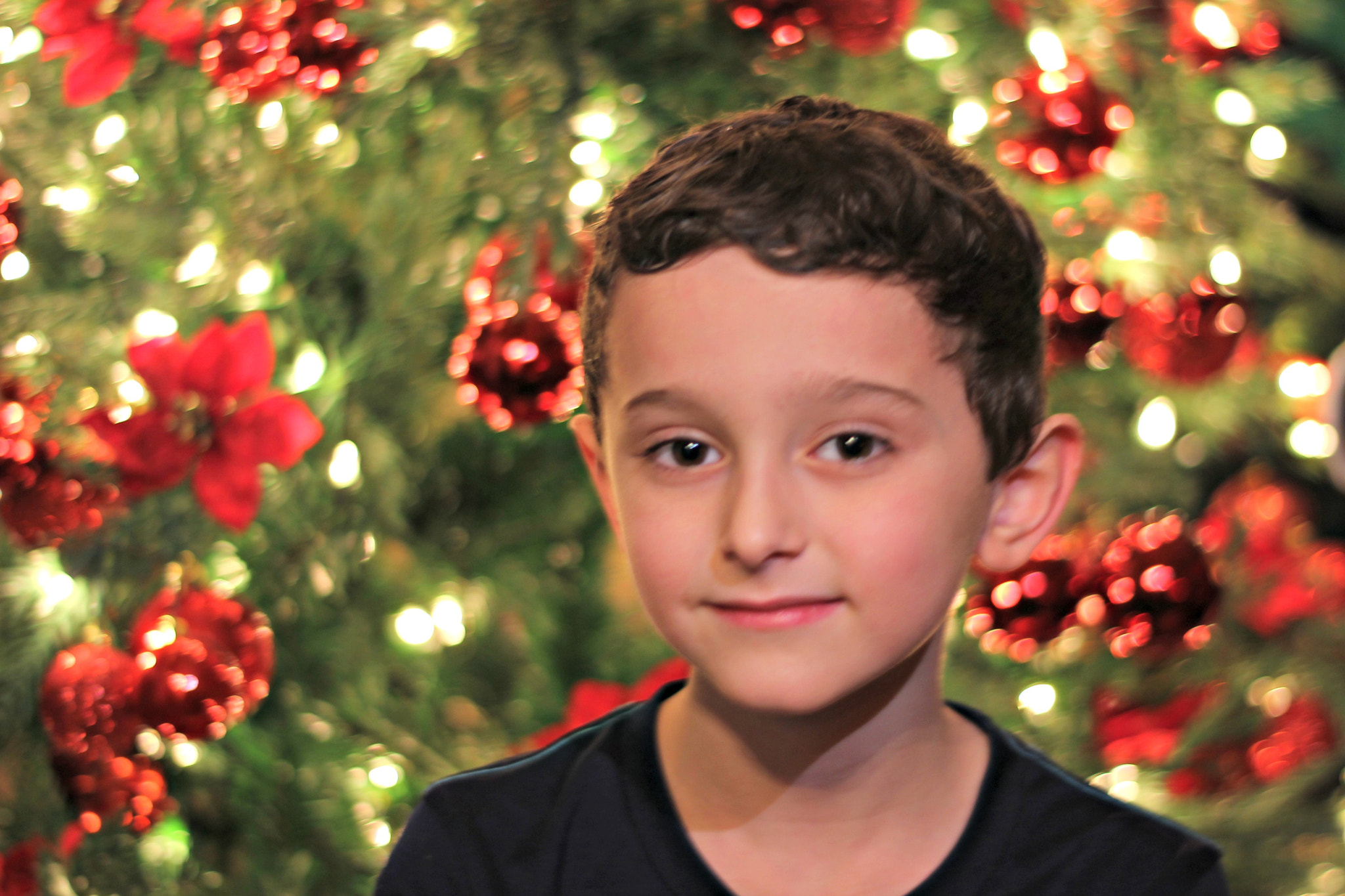 Canon EF 50mm F1.8 II sample photo. Jack's yearly christmas picture photography