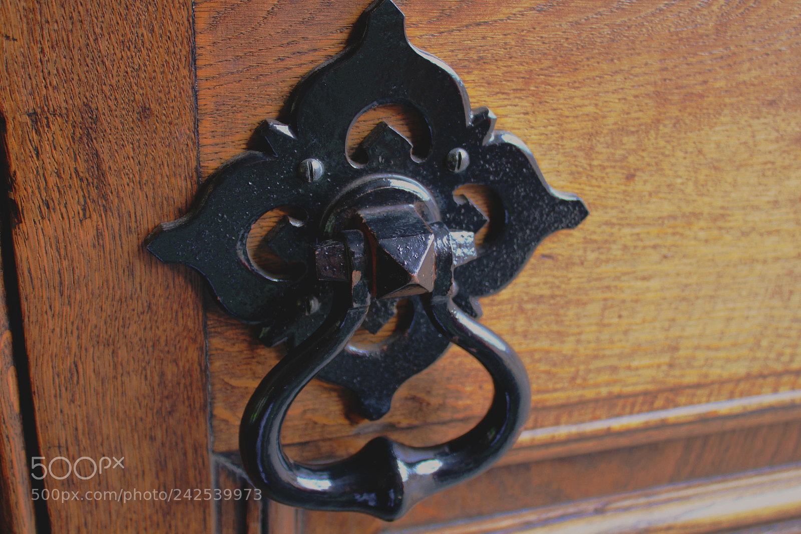 Canon EOS 1300D (EOS Rebel T6 / EOS Kiss X80) sample photo. Iron door pull photography
