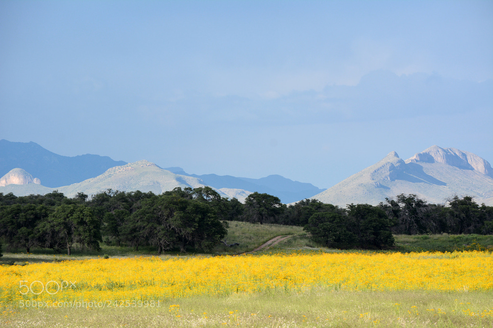 Nikon D7100 sample photo. Arizona photography