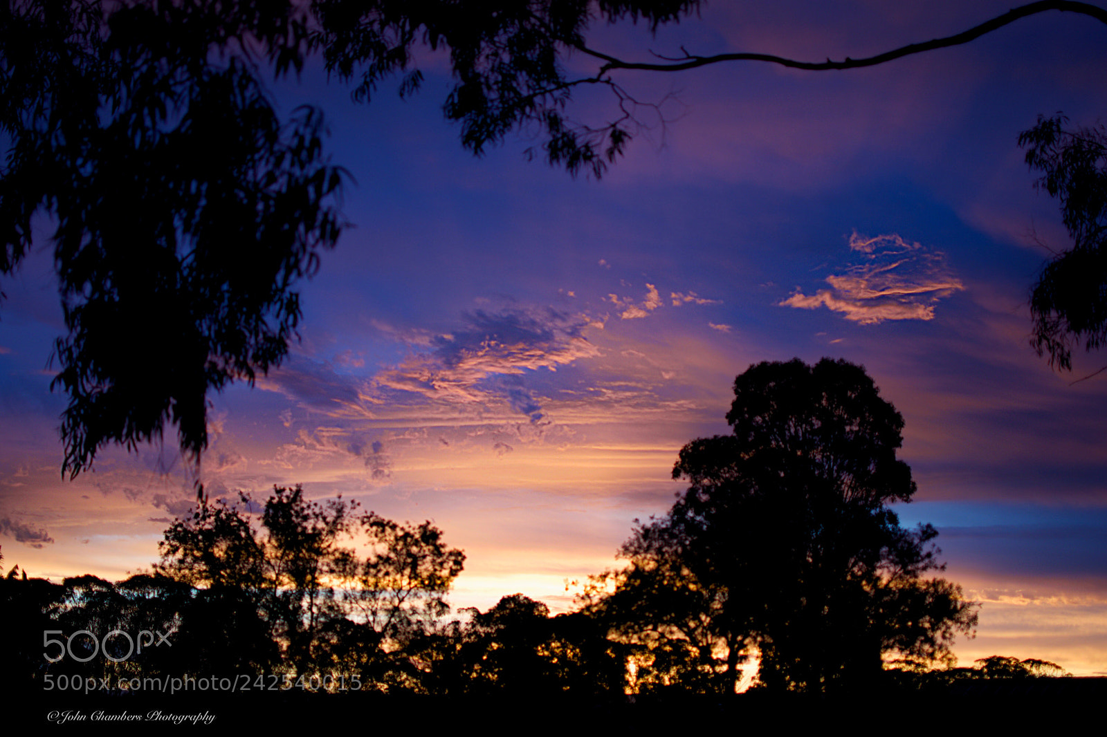 Nikon D5500 sample photo. Sunset in the suburbs photography