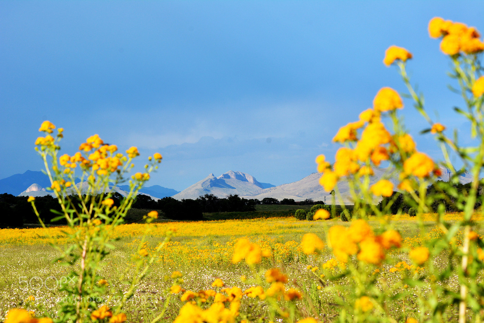 Nikon D7100 sample photo. Arizona photography