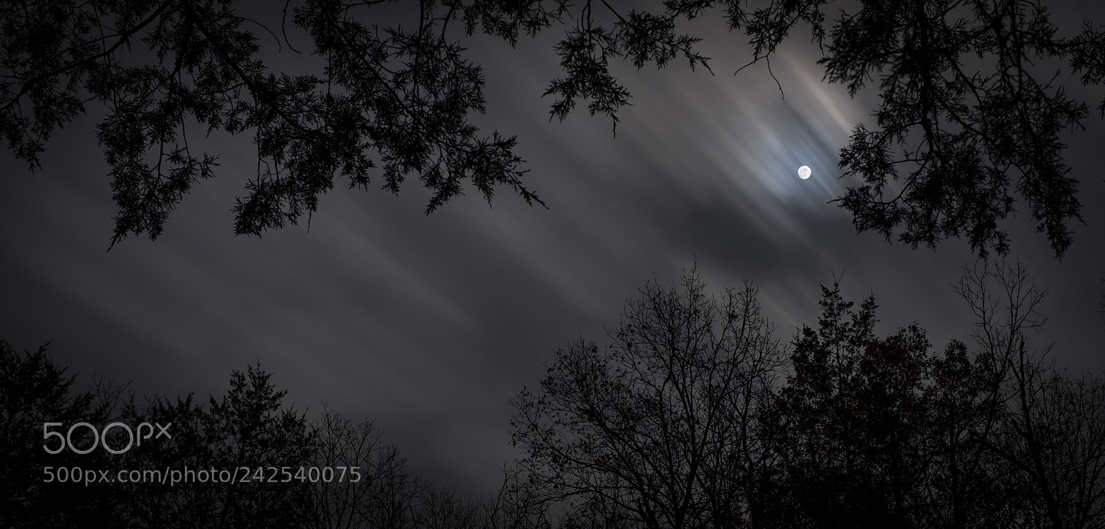 Fujifilm X100F sample photo. Supermoon 2017 photography
