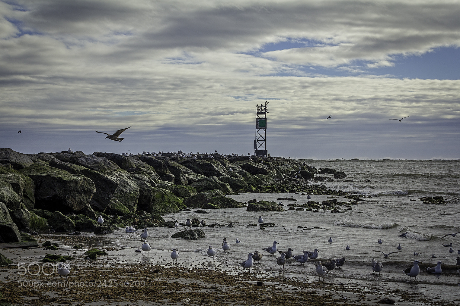 Canon EOS 60D sample photo. Barnegat light, nj photography