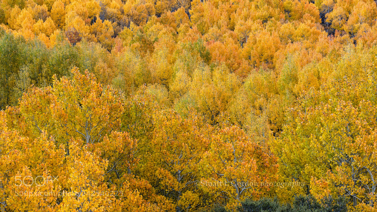 Canon EOS 5DS R sample photo. Ode to seurat photography