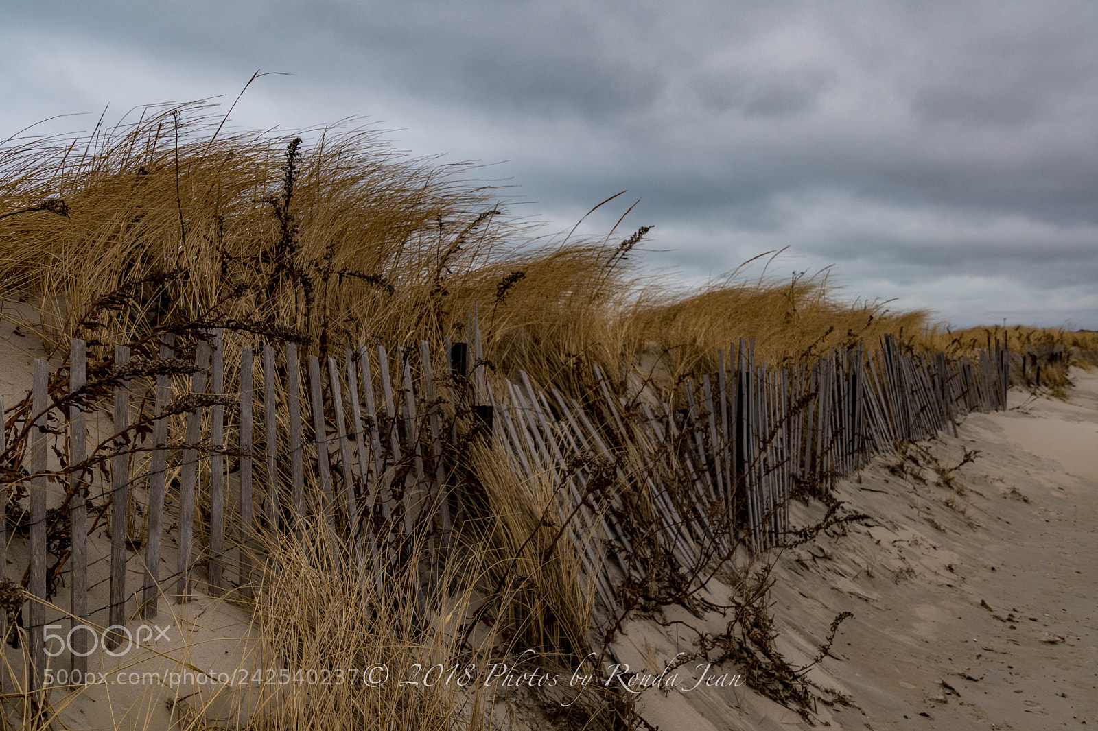 Nikon D500 sample photo. Frozen sands photography